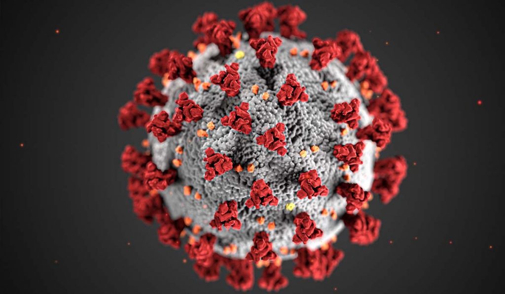 Covid-19 coronavirus covid cell pandemic corona virus